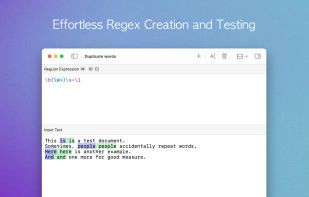 Regex Forge screenshot 1