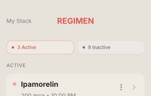 Regimen screenshot 2