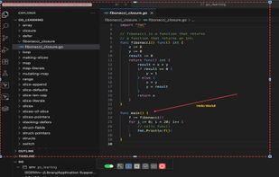 RegionMirror screenshot 2