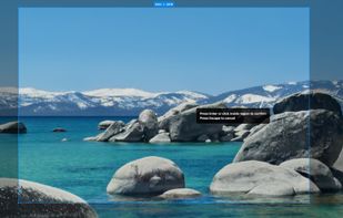 RegionMirror screenshot 1