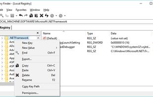 Registry Finder screenshot 1