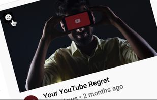 RegretsReporter screenshot 1