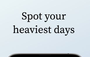 Reign: Budget & Expense log screenshot 3