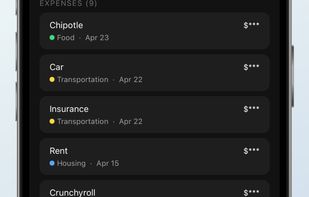 Reign: Budget & Expense log screenshot 1
