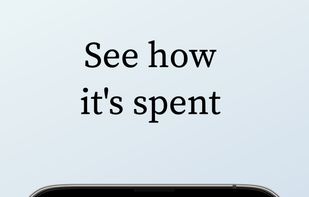 Reign: Budget & Expense log screenshot 2