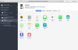 iPhone Backup Extractor's overview screen