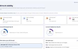 The Releado Initial AI and SEO scorecard prior to launch