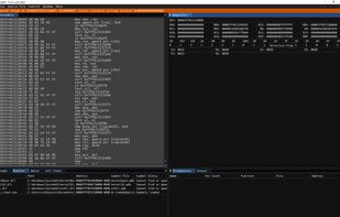 RemedyBG screenshot 3