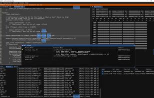RemedyBG screenshot 1
