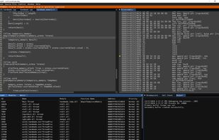 RemedyBG screenshot 1