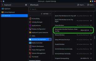 Remember Window Positions screenshot 1