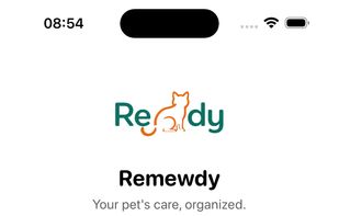 Remewdy screenshot 1