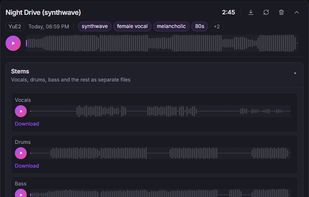 A track split into vocals, drums, bass and other stems.
