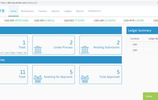 Homepage of REMITR Business Payments