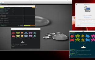 Remmina screenshot 1