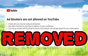 RemoveAdblockThing screenshot 1