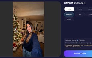 Video Watermark Remover Dashboard