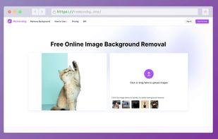 Removebg screenshot 1