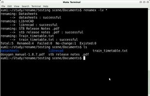 Rename Tool screenshot 2