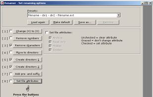 Renamer by EatMe - renaming options - screenshot