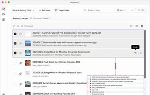 Review the new filenames, then rename files in a batch once everything looks right. Undo the changes and restore the original filenames if needed.