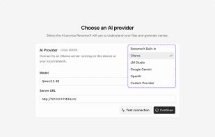 Choose the built-in local AI, Ollama, LM Studio, OpenAI, Google Gemini, or a custom compatible provider.