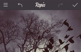 Repix by Sumoing Ltd screenshot 2