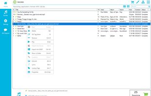 Replay Music screenshot 1
