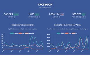 Reportei screenshot 1