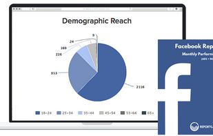 Facebook Reporting Tool