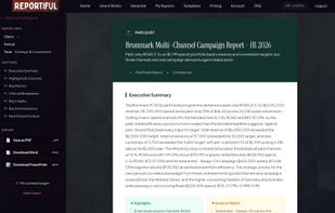 Report preview