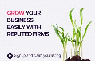 Reputedfirms screenshot 1