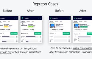 Reputon screenshot 1