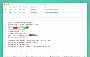 Reqable screenshot 3