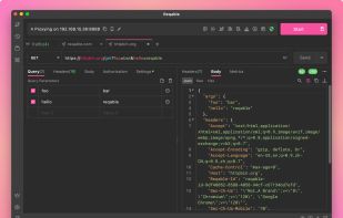 Reqable screenshot 2