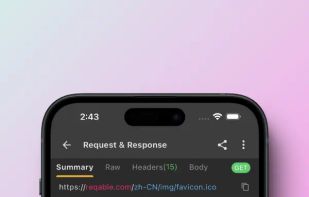 Reqable screenshot 1