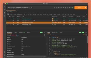 Reqable screenshot 1