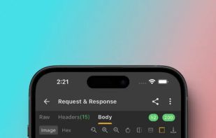 Reqable screenshot 3