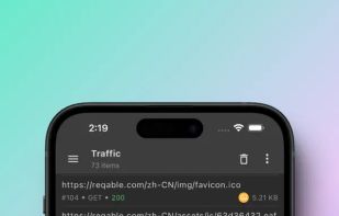 Reqable screenshot 1