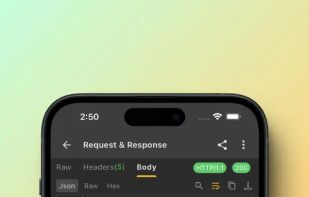 Reqable screenshot 2