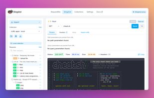 Request editor in Slingshot.