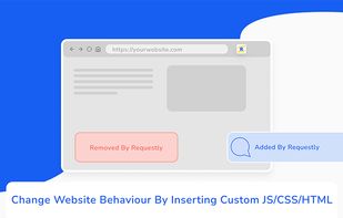 Inject Custom JS/CSS