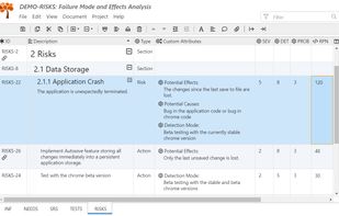 Manage Project Risks