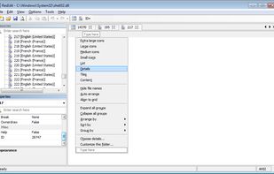 ResEdit screenshot 3