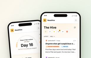 ResetHive screenshot 1