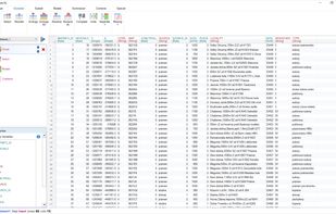 Main window of the add-in for data wrangling.