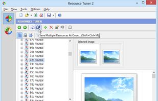 Resource Tuner screenshot 1