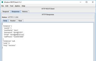 rest-client screenshot 1