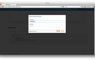 HTTP Basic Authorization