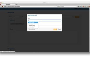 Custom HTTP request headers